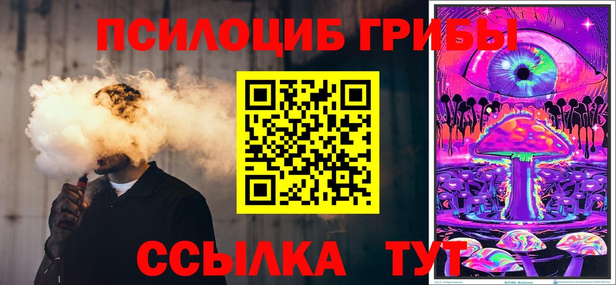 Верхняя Салда  Псилоцибиновые грибы MAGIC MUSHROOMS  Вход с VPN  Псилоцибиновые грибы мухоморы 